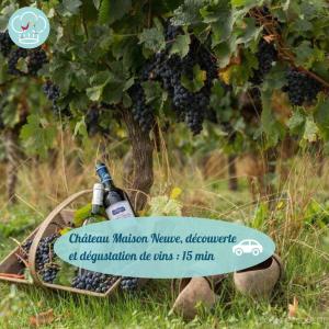 Maisons de vacances Gite Chelona Vinifera par Chelona-Loc - jusqu-a 10 personnes - calme - campagne : photos des chambres