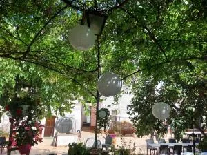 Agriturismo Terrenia - Trappitello