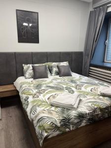 Downtown Boutique Apartments