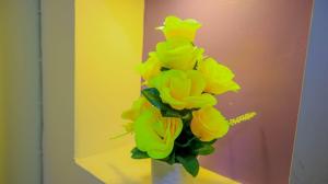 SpringStone executive apartment