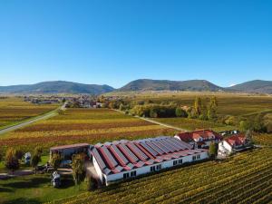 Ferienwohnung Weingut Braun & Söhne