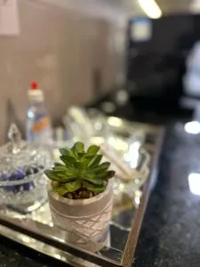 Um sonho de apartamento! Piscina maravilhosa! - 索罗卡巴