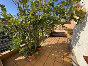Bonito apartamento cerca de la playa con gran terraza AV-04