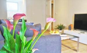 Accomodo London Southbank - Spacious & Elegant Apartments near Big Ben & London Eye