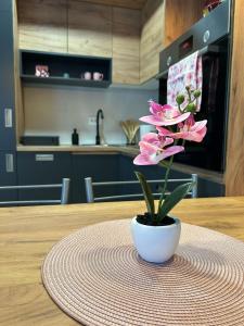 Apartman NS FREE PARKING