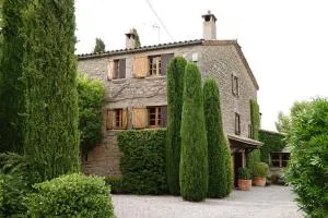 Pla de Moixons - Avinyó