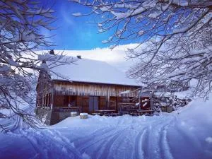 Chalet le Maclavierre - Bogève