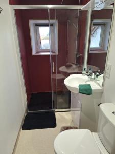 Villas Gite authentique au coeur de Blavozy avec piscine privee, jacuzzi et terrain de petanque : Villa