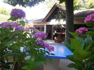 Chalets Chalet 3 etoiles - Piscine - ccaibfi : photos des chambres