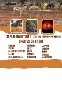 Big Cats Namibia Farmstay & Tours