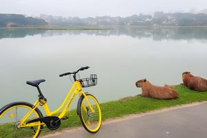 Conforto, piscina, gym e garagem