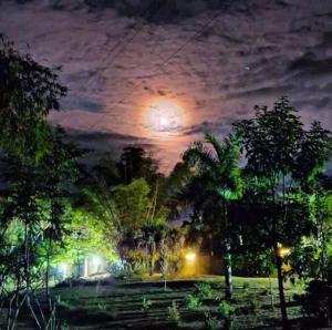 Camping Jardín Botánico Herbolario HUMAR