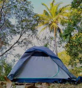 Camping Jardín Botánico Herbolario HUMAR - Pluma Hidalgo