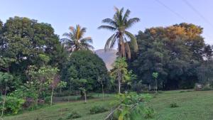 Camping Jardín Botánico Herbolario HUMAR