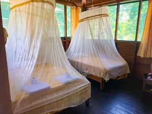 Explora Golden Lodge