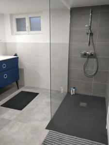 B&B / Chambres d'hotes Le Choizel : photos des chambres