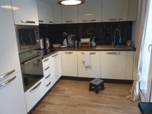 grand appartement CALVI