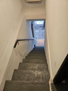 Departamento Dorsi Céntrico