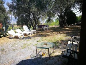 Cottage VIVI tra mare e ulivi img22