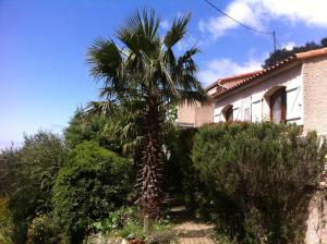 Maisons de vacances Gites ruraux Aria Falcona : photos des chambres