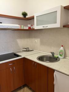 Nova Detelinara,Novi Sad