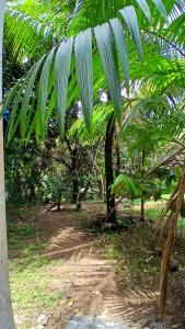 Kitnet para 4 pessoas Jeribucacu