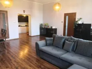 GanczaRAPART2 - Ziębice