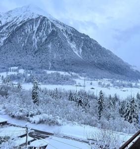 Appartement Niesenblick 1