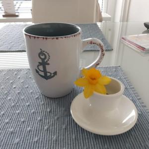 Singlefewo Seemöwe für 1 Person