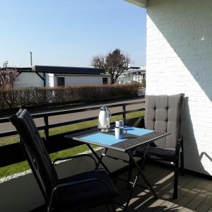 Singlefewo Seemöwe für 1 Person