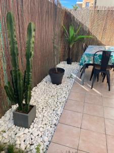 Appartements Appartement rez de jardin : photos des chambres