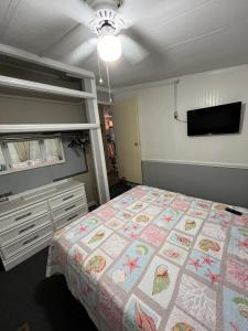 MH192 Ocean Lakes Pet Friendly Golf Cart-Beach Bum