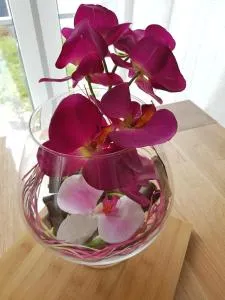 Apartment by Janzen O - 诺伊基兴