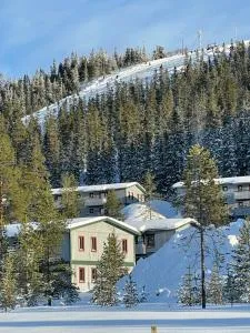 SÄLEN, Ski in-Ski out, Lägenhet 8F Grå Byn - Rörbäcksnäs