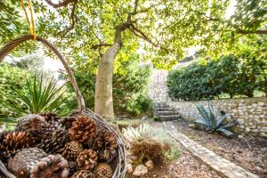 Rose Wind Apartments by Pag tours