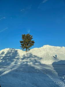 SÄLEN, Ski in-Ski out, Lägenhet 8F Grå Byn