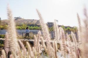 Botanica Stay 8-Acre Luxury Farm