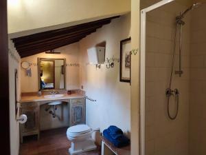 King Room with Garden View