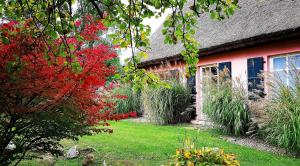 Hof Garz Wohnung Kräutergarten