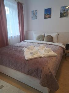 Studio with free Parking in the Center - Deliamo 3