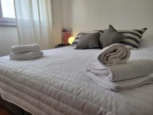 Beautiful apartment in Almagro