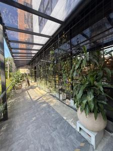 Laureles Suite 703 Faro 78 Queen bed con Aire