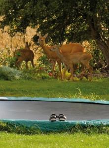 "Ferienhof Alte Mühle" W 1a