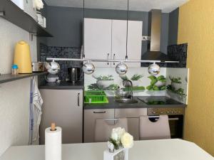 Ferienwohnung am Stadtpark 1