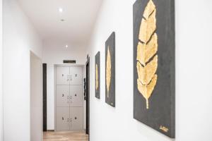 CHD Rooms
