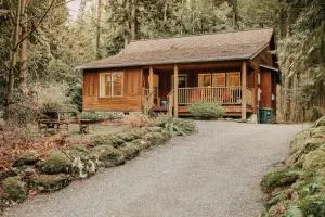 Glacier Springs Cabin 95 - Hot Tub - Wifi - Warnick