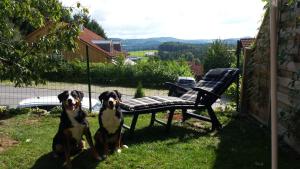 Ferienhaus Tine am Schlossberg in Zandt