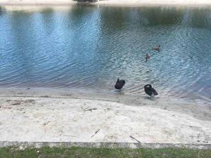 Waterfront 3 Bedroom House in Family Friendly Resort