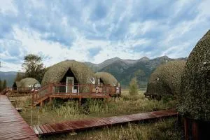 Tammah Jackson Hole - 提顿村