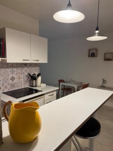 Appartements Studio 2 bords de Loire : photos des chambres